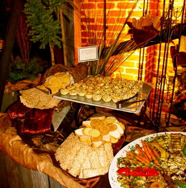 Appetizer buffet with crackers, bite-sized hors d'oeuvres, and grilled vegetables